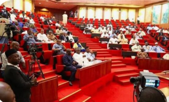 Lawmakers divided over proposed Anioma state capital
