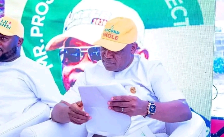 A Passionate Apology: Governor Adeleke Did not Call Iwo a Village