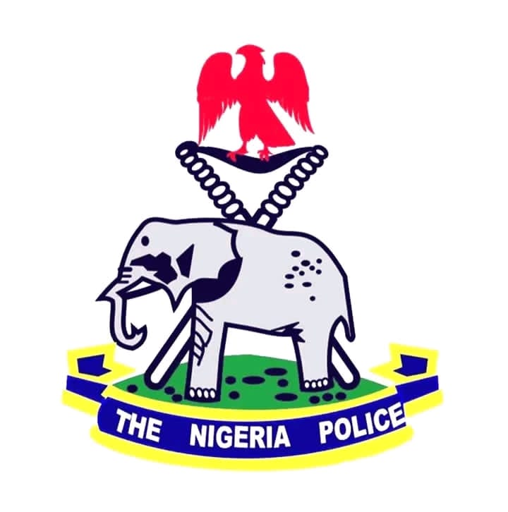 Alleged Self – Kidnap: Police Currently Investigating Episode -Spokesperson 
